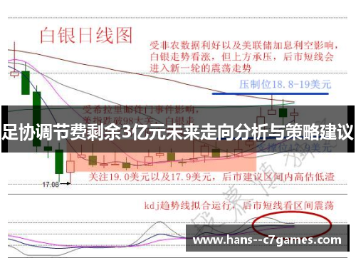 足协调节费剩余3亿元未来走向分析与策略建议